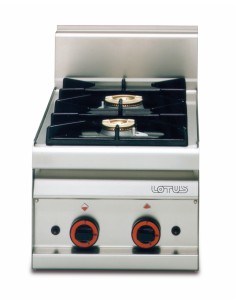 Professional gas stove - N. 2 burners - cm 40 x 65 x 29 h
