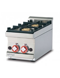 Professional gas stove - N. 2 burners - 30 x 60 x 28 cm h