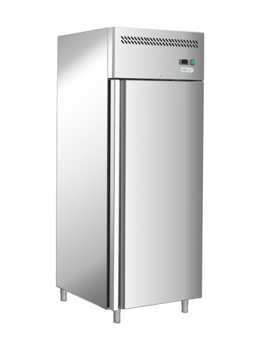 Cabinet refrigerator - capacity liters 650 - ventilated - energy class E-cm 74 x 83 x 201 h