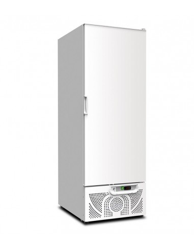 Armadio frigorifero - Capacità  litri 600 - Cm 67 x 87.8 x 194.5 h