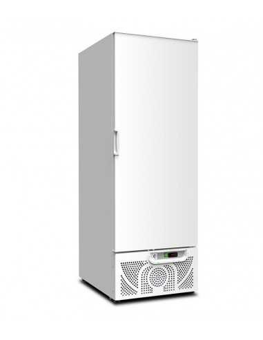 Refrigerator cabinet - Capacity  liters 600 - Cm 67 x 87.8 x 194.5 h