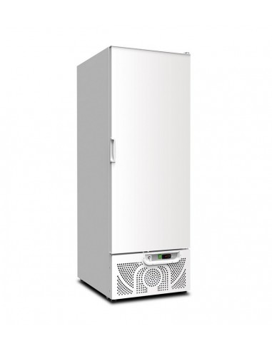 Freezer cabinet - Capacity  liters 600 - Cm 67 x 87.8 x 194.5 h