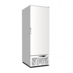 Armadio refrigerato - Temperatura -10/-25°C - Capacità  litri 600 - Refrigerazione statica - Cm 67 x 87.8 x 194.5 h