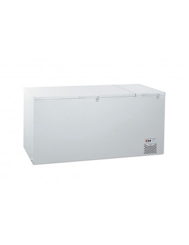 Horizontal freezer - Capacity  liters 863 - Cm 201 x 84 x 96.7 h