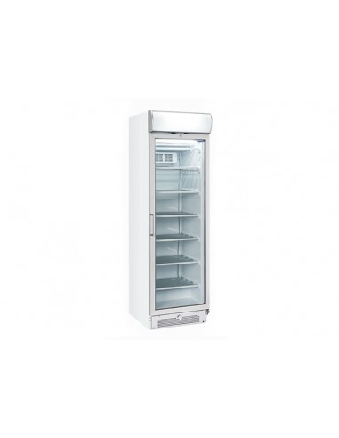 Freezer cabinet - Capacity Lt. 300 - cm 60 x 64 x 200.5h