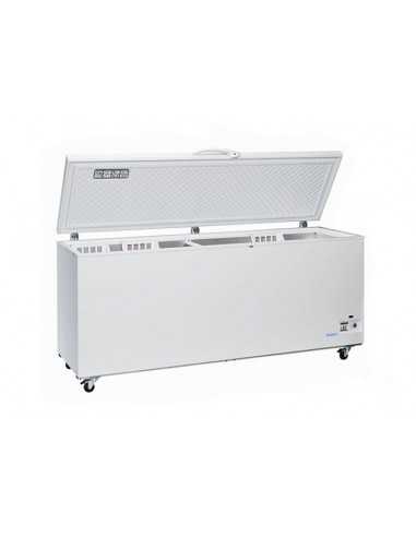 Horizontal freezer - Capacity Lt 700 - cm 205.5...