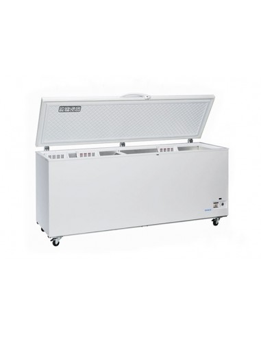 Horizontal freezer - Capacity Lt 700 - cm 205.5 x 73 x 90.5 h