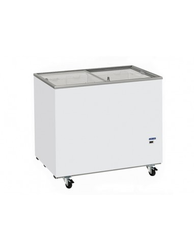 Horizontal freezer - Capacity  300 liters - cm 101.5 x 63.5 x 89 h