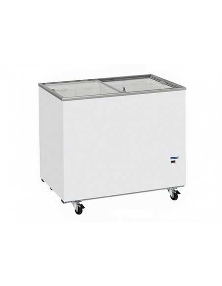 Horizontal freezer - Capacity  300 liters - cm 101.5 x 63.5 x 89 h