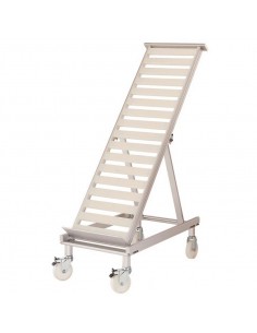 Espositore inclinato - N. 5 cassette - Ruote - cm 53 x...