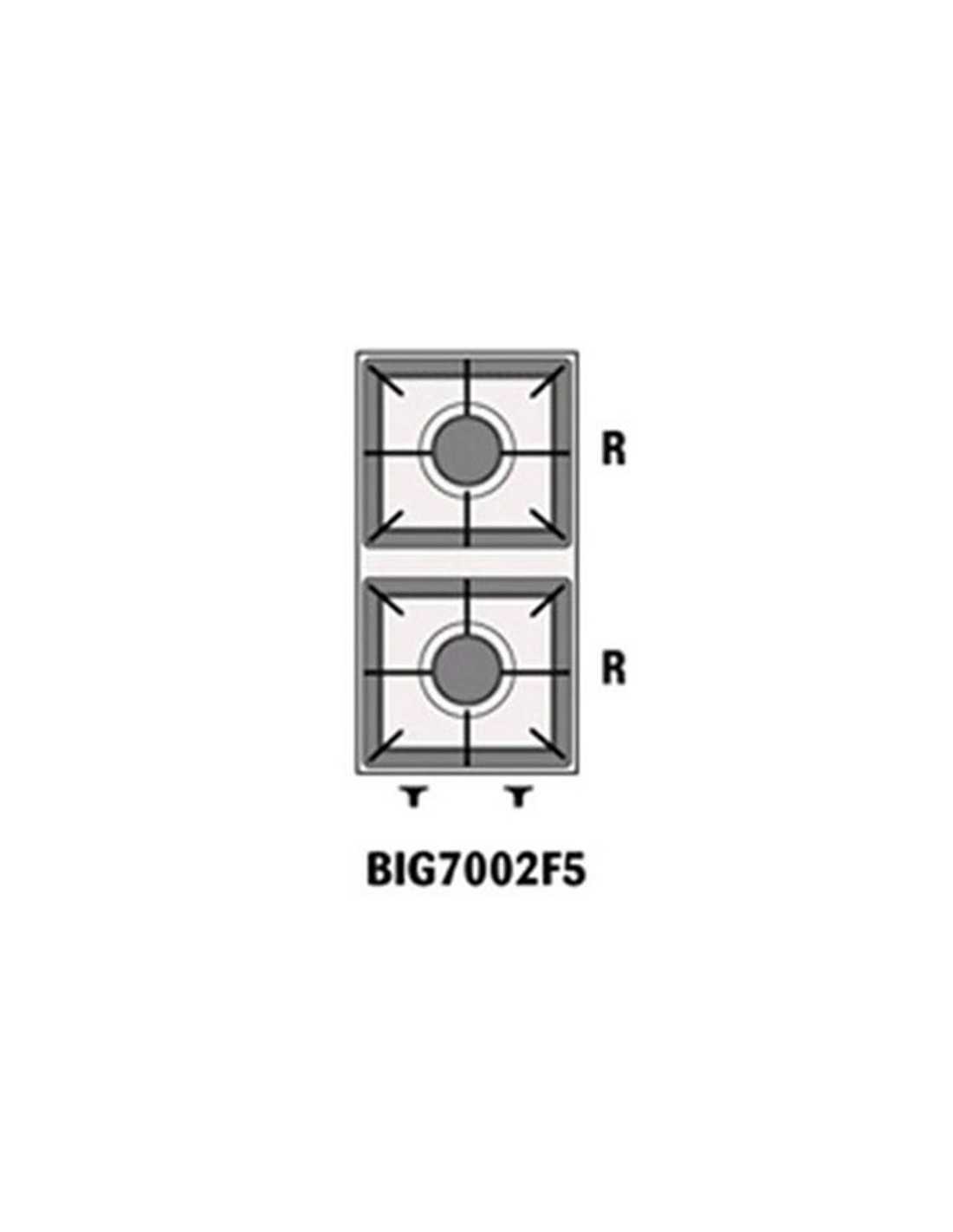 N. 2 Bruciatori a gas Rapido - Potenza kW 4,5 +4,5