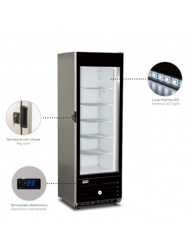 Freezer cabinet - Capacity 320 liters - cm 61 x 63.9 x 184.4 h