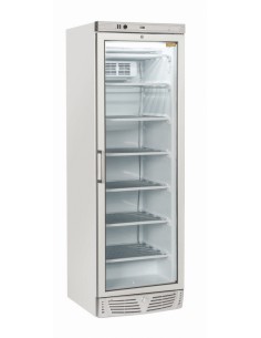 Armadio congelatore - Capacità Lt. 300 - cm 60 x 63 x 187h