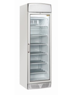 Armario de congelador - Capacidad Lt. 300 - cm 60 x 64 x...