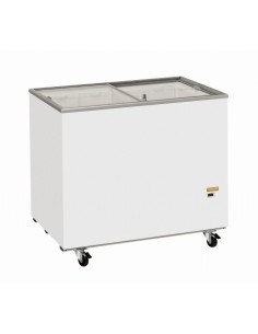 Horizontal freezer - Capacity  300 liters - cm 101.5 x... 2