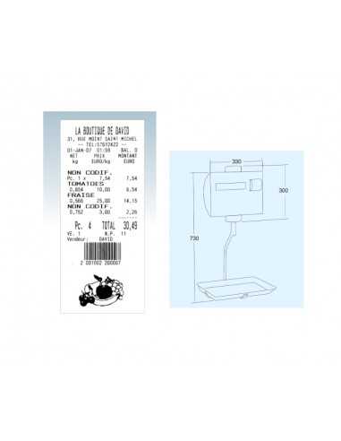 Hanging balance - Thermal printer - 4-8...
