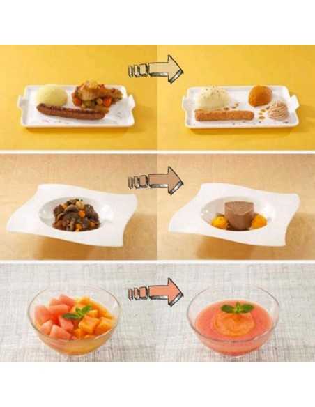 Homogenizer - Capacity lt 4.5 - Speed changer - cm 22.6 x 30.4 x 48 h