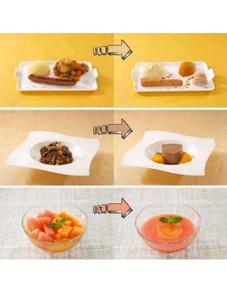 Homogenizer - Capacity lt 11.5 - 2 speed - cm 34,5 x 56 x 67 h