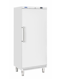 Frigorífico armario - Capacidad lt 400 - cm 74 x 68 x 180h