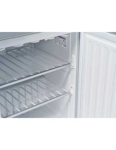 Armadio congelatore - Capacità Lt 200 - cm 59,8...