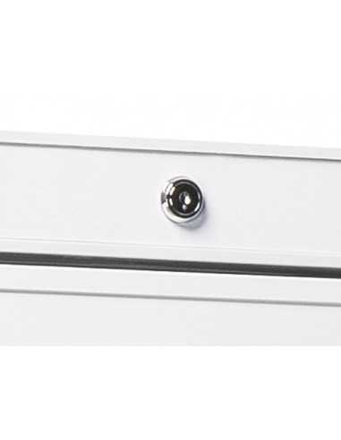 Freezer cabinet - Capacity 600 L. - cm 78 x 72...