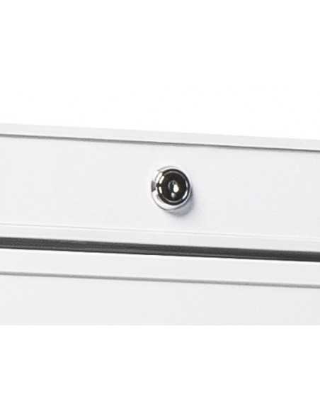 Armario congelador - Capacidad 600 L. - cm 78 x 72 x 189,5 h