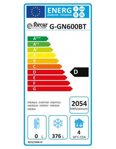Freezer cabinet - Capacity liters 507 - Cm 68 x...