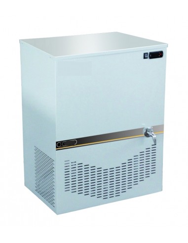 Refrigerador de almacenamiento - Producción 100 lt/h - cm 67x50x92h