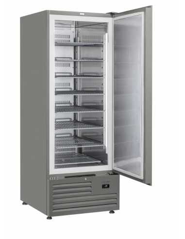 Freezer - Capacity Lt 600 - cm 74 x 88 x 202.5 h
