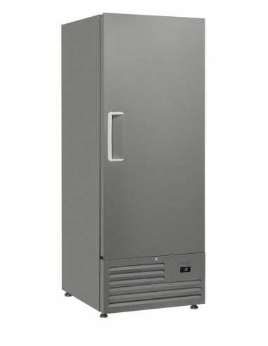 Freezer - Capacity Lt 600 - cm 74 x 88 x 202.5 h
