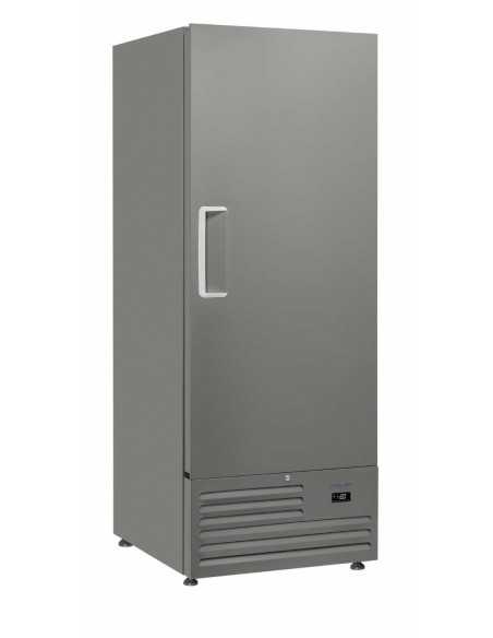 Armadio congelatore temperatura negativa -25°/-18°C - Capacità Lt 600 - cm 74 x 88 x 202.5 h
