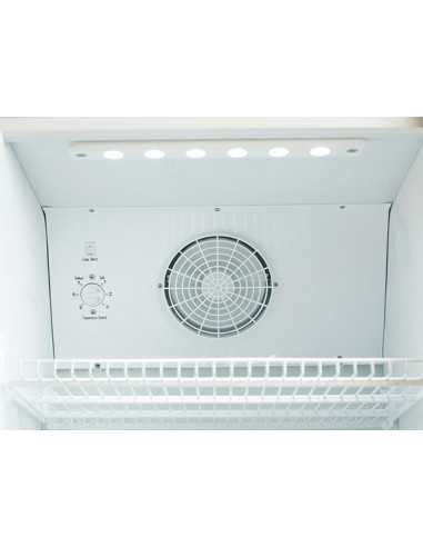 Frigorífico armario - Capacidad Lt 300 - cm 52...