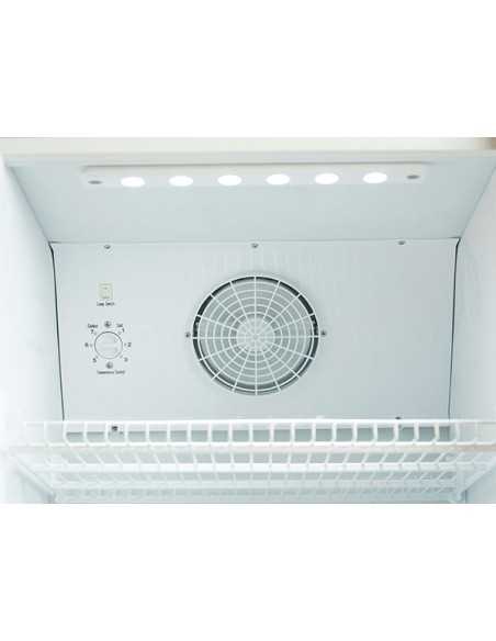 Armadio frigorifero - Capacità Lt 300 - cm 52 .5 x 55.5 x 163.5h