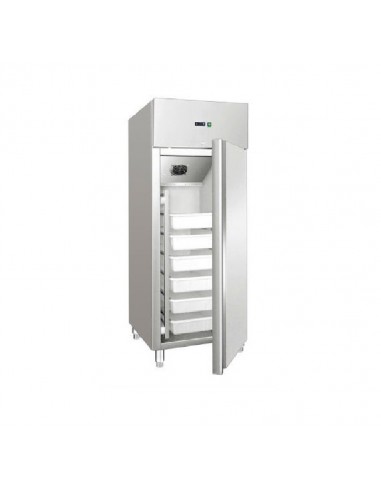 Armadio frigorifero pesce - Capacità  lt 535 -  cm 68 x 81 x 201 h
