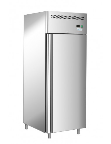 Refrigerator cabinet - Capacity liters 600 - cm 68 x 81 x 201 h