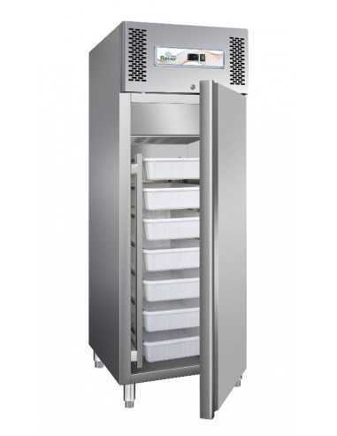 Fish refrigerator cabinet - Capacity lt 507 - Cm 68 x 81 x 201 h