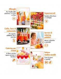 Automatic juice extractor 120 liters per hour in steel 2
