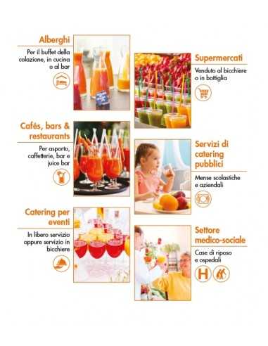 Estrattore succo automatico 120 litri all'ora in acciaio