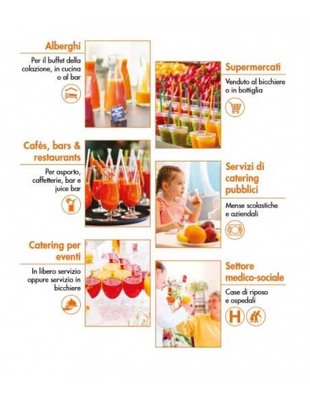 Automatic juice extractor 120 liters per hour in steel