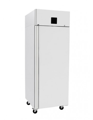 Freezer cabinet - Capacity Lt. 670 - cm 73 x 80.5 x 211 h
