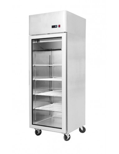 Refrigerator cabinet - Capacity Lt. 450 - Tropicalized -  cm 60 x 74.5 x 195 h