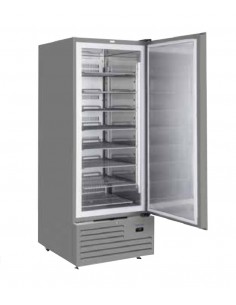 Congelador - Capacidad Lt 600 - cm 74 x 88 x 202.5 h