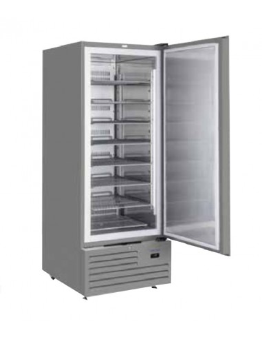 Freezer - Capacity Lt 600 - cm 74 x 88 x 202.5 h
