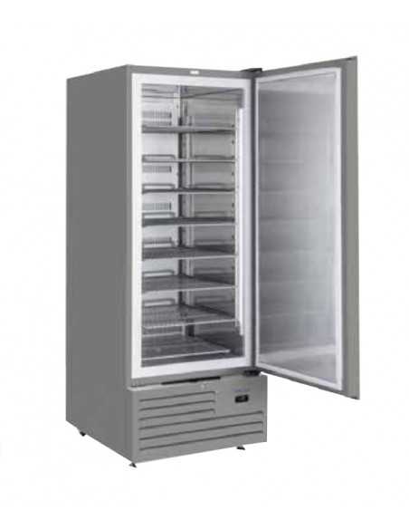 Congelatore - Capacità Lt 600 - cm 74 x 88 x 202.5 h