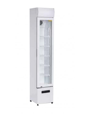 Armadio frigorifero - Capacità Lt 105 - cm 36 x 40.5 x 187.7 h