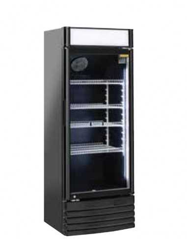 Refrigerator cabinet - Capacity Lt 300 - cm 52 .5 x 55.5 x 163.5h