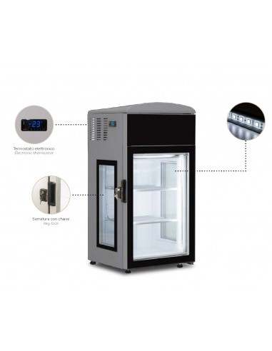 Freezer cabinet - Capacity 79 liters - cm 50 x 48.3 x 100 h