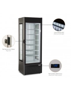 Freezer cabinet - Capacity 415 lt - cm 67 x 64.4 x 200 h