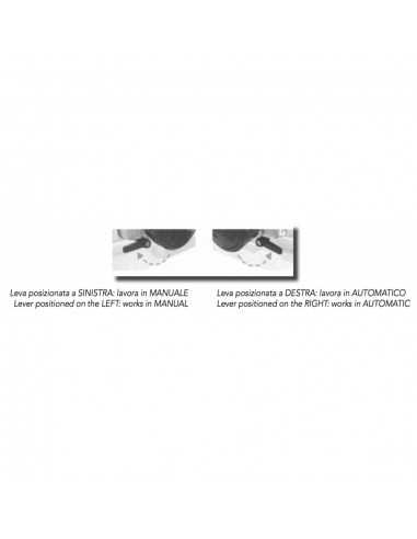 Professional automatic slicer