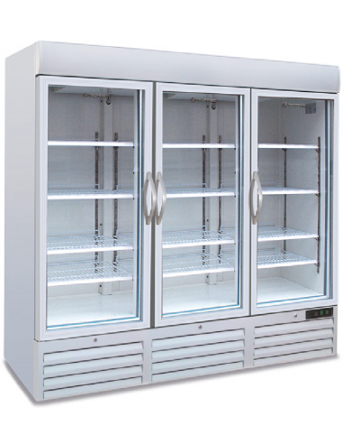 Espositore refrigerato - Temp. -18/-22°C - Capacità lt 1657 - 12 Ripiani - Ventilato - Cm 205.7 x 74.3 x 206.5h